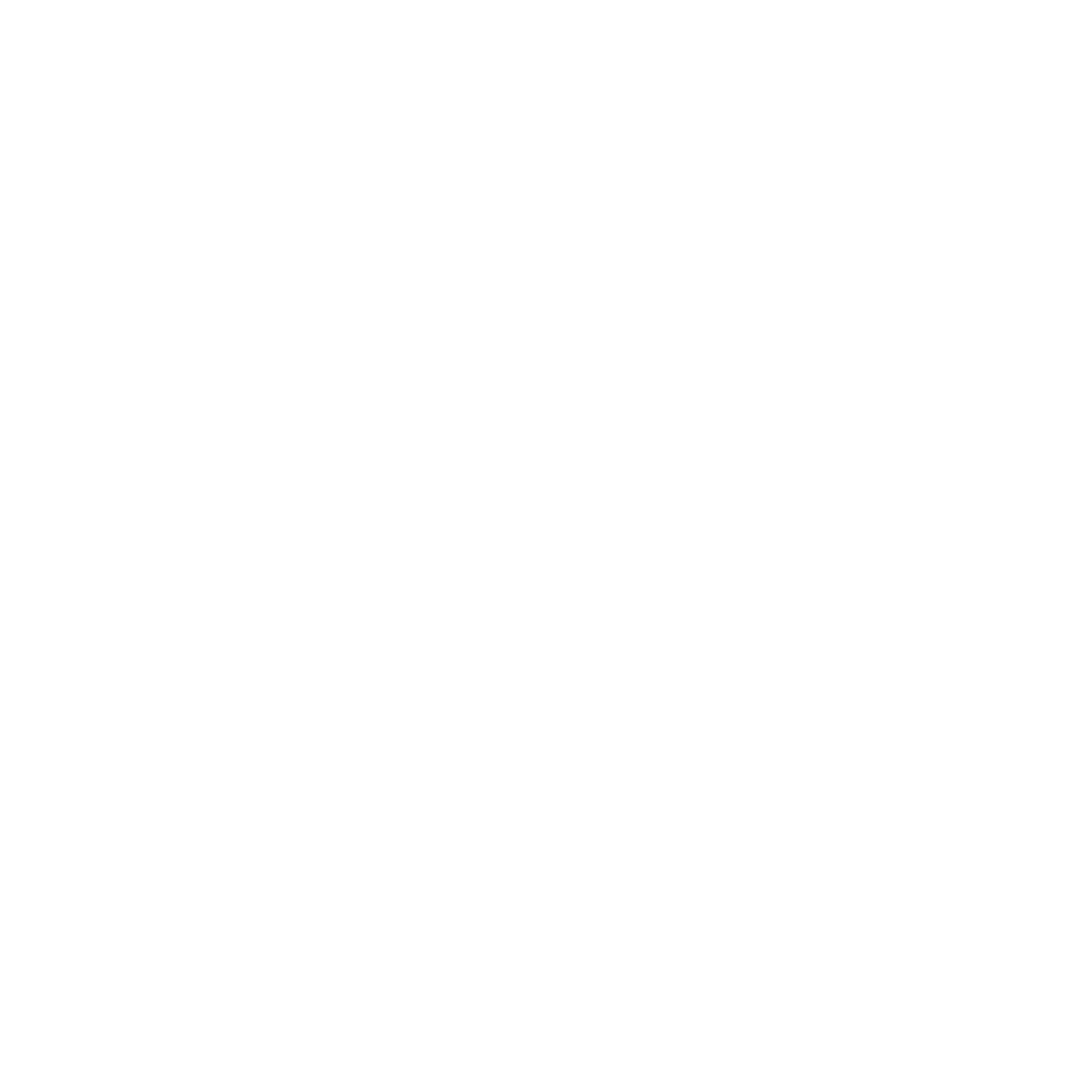 PolyView Logo